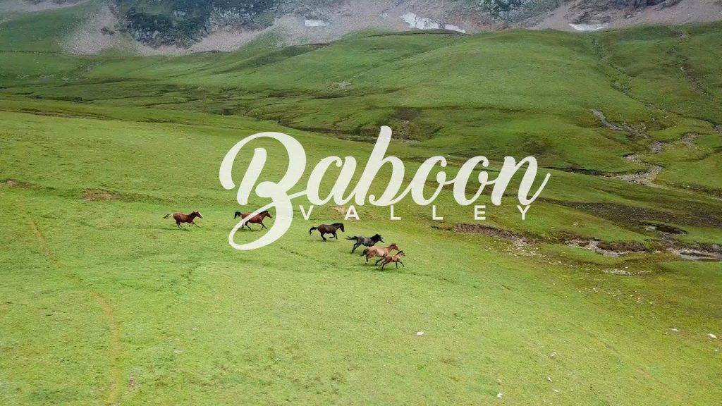 baboon valley tour packages