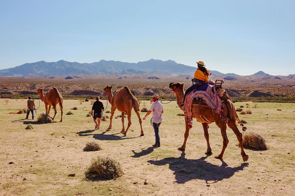 Desert Tours Pakistan