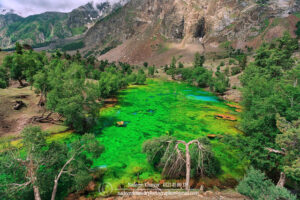 Hunza tour packages 2024