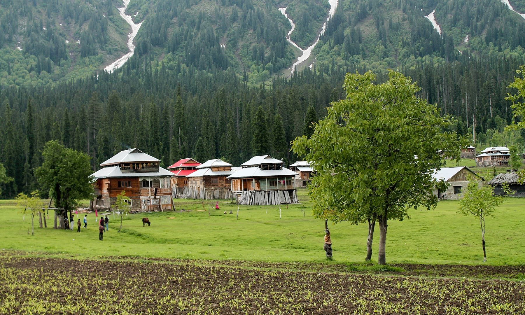 Neelum Tour