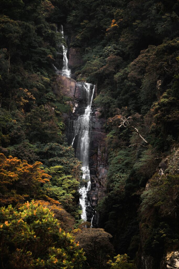 sri-lanka