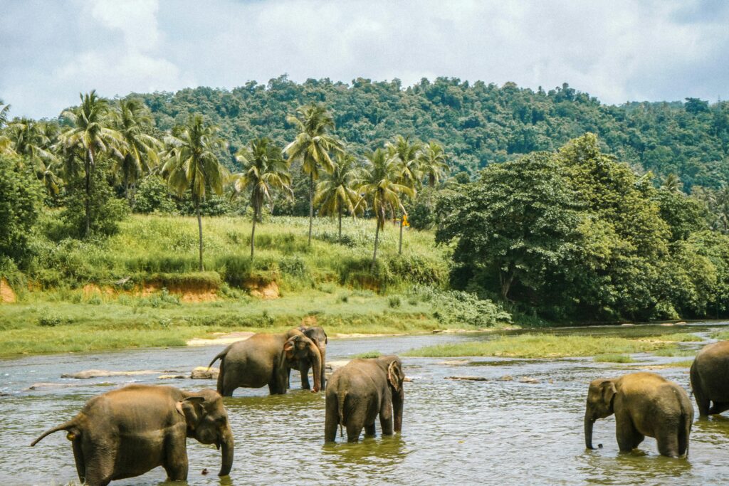 sri-lanka